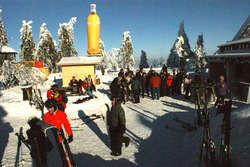 Wurmberg Alm