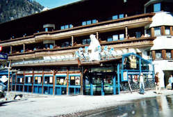 Eisbar