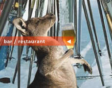 Krazy Kanguruh