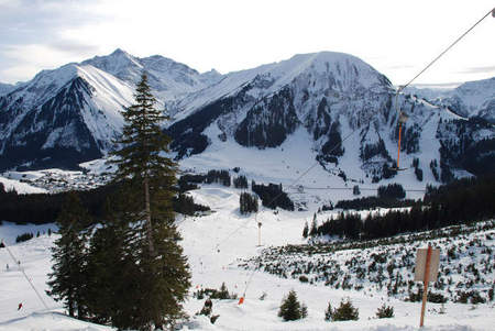 Hochgeladen am 05.01.2010