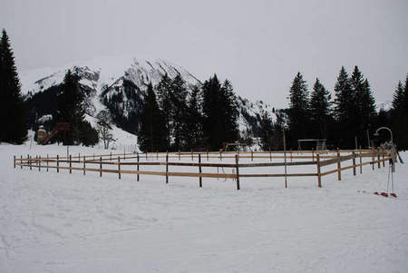 Hochgeladen am 05.01.2010