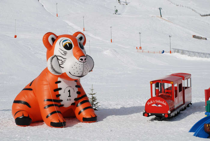 Tiger am Skischulsammelplatz